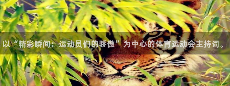 三亿体育网页版