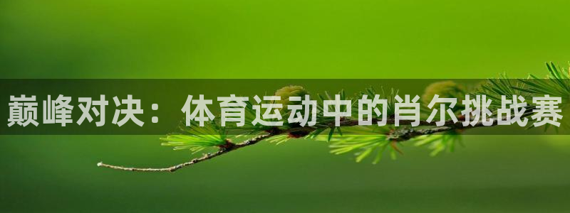 三亿体育网