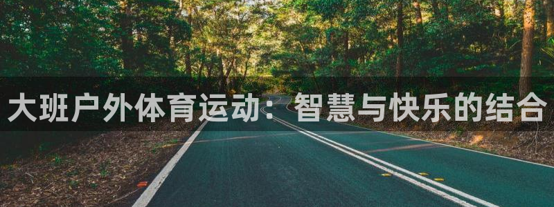 三亿体育
