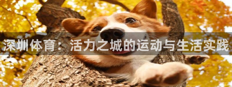 三亿体育登录