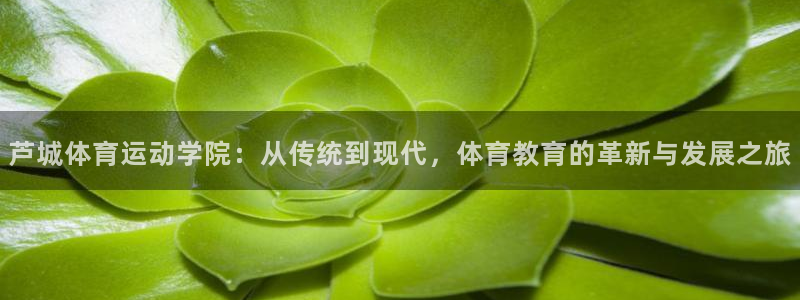 三亿体育