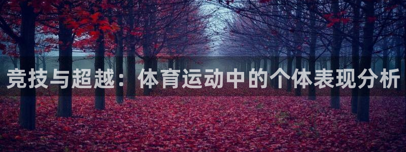 三亿体育