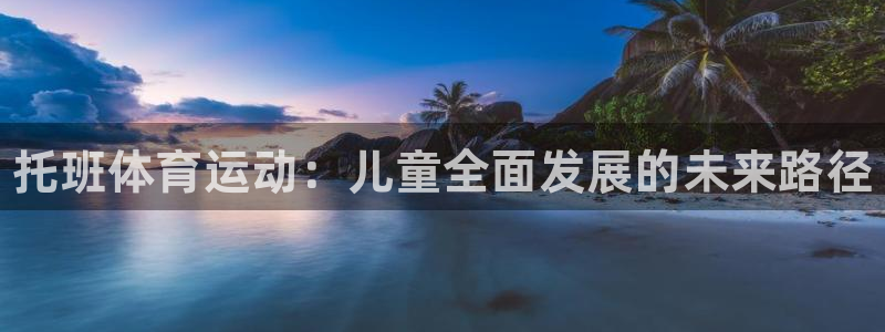 三亿体育