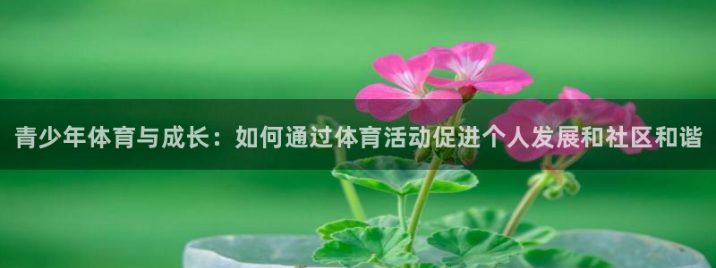 三亿体育登录