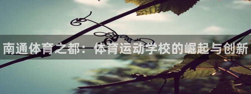 三亿体育登录