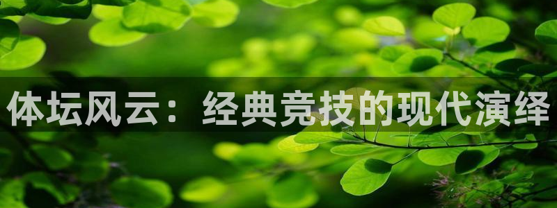 三亿体育登录