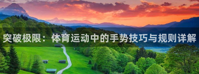 三亿体育
