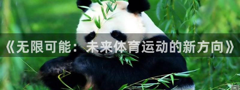 三亿体育