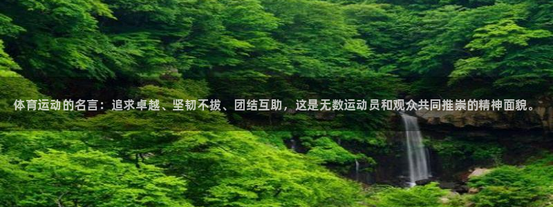 三亿体育网页版