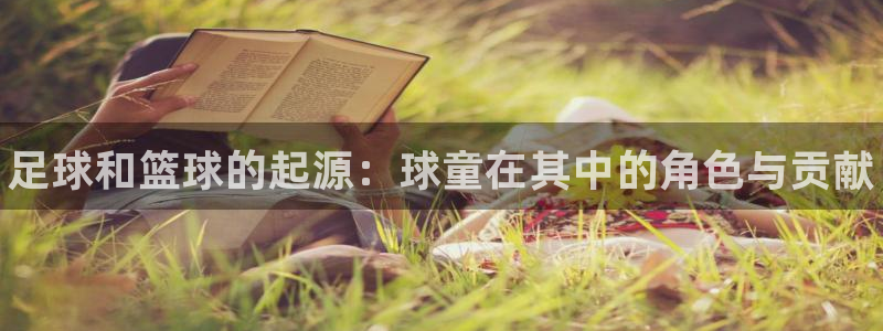三亿体育网页版