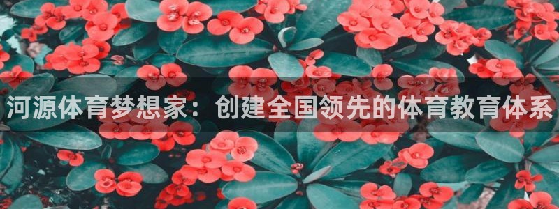 三亿体育网页版
