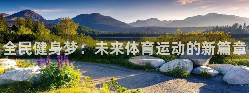 三亿体育网页版