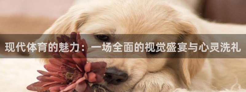 三亿体育