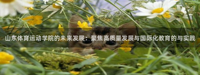 三亿体育登录