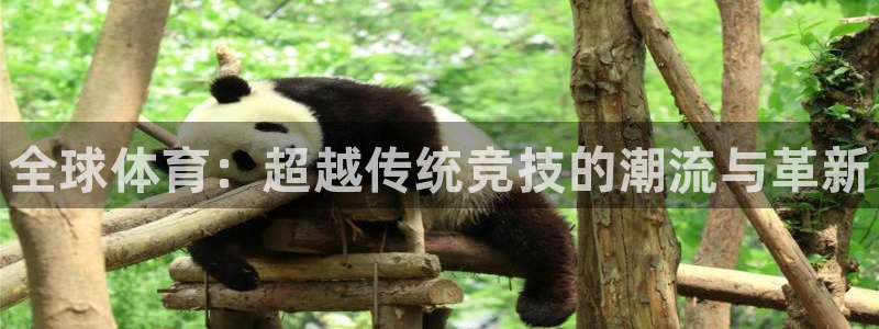 三亿体育