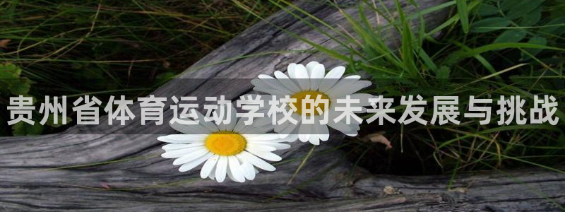 三亿体育