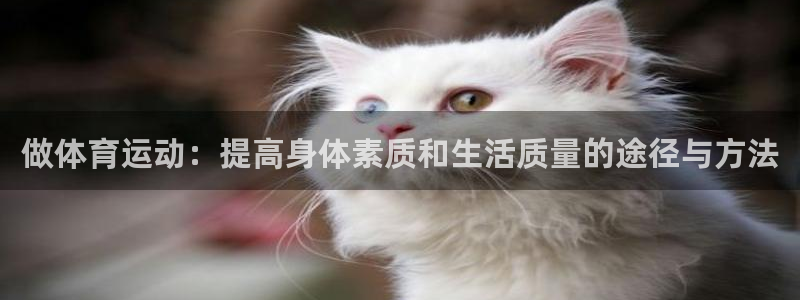 三亿体育
