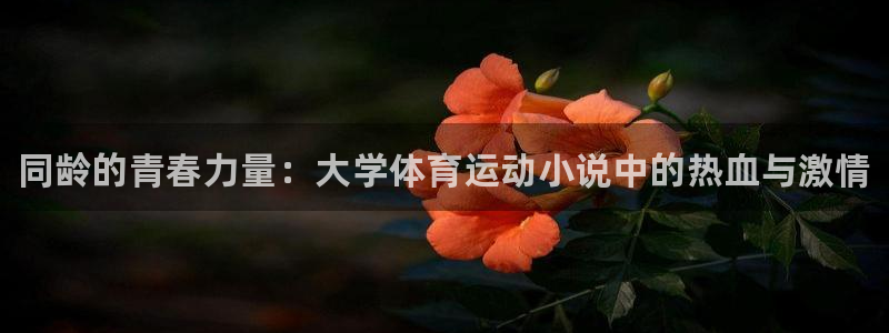 三亿体育