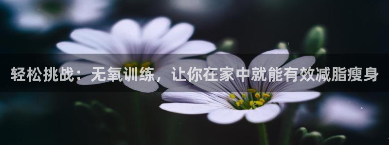 三亿体育网页版