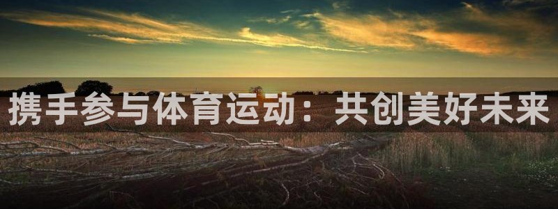 三亿体育