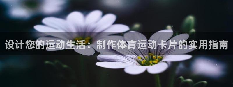 三亿体育网