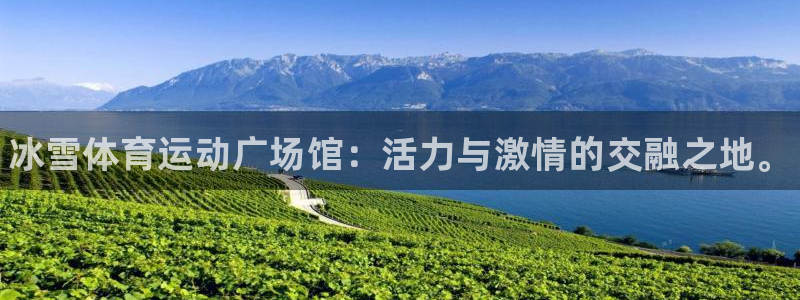 三亿体育网页版
