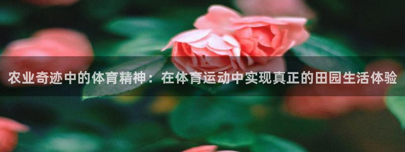 三亿体育网