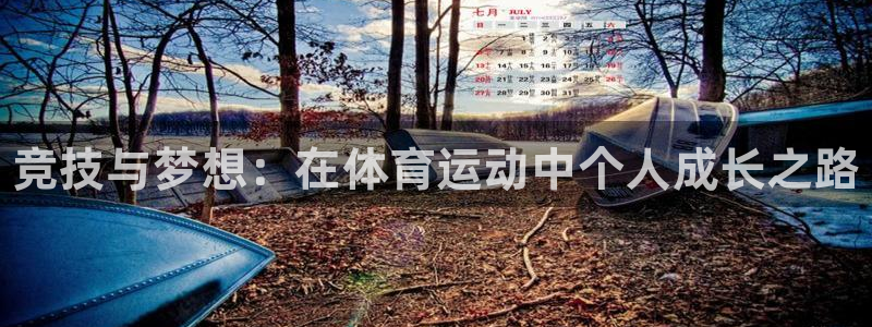 三亿体育网