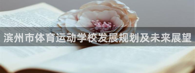 三亿体育网页版