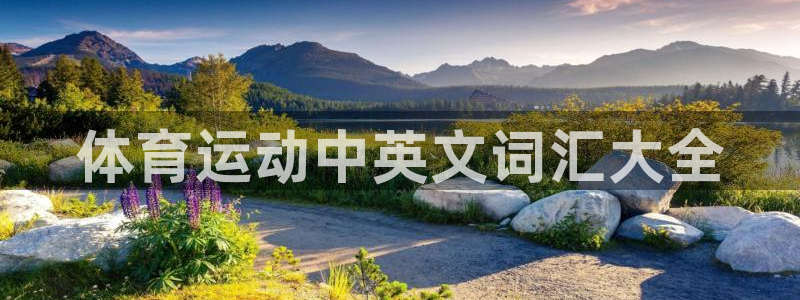 三亿体育登录