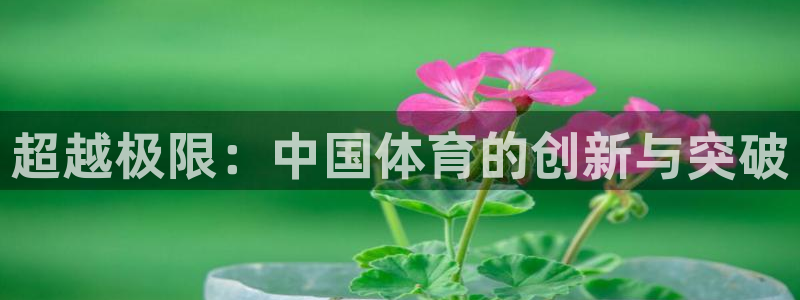 三亿体育网页版