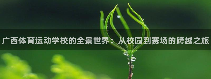 三亿体育登录