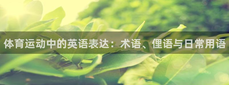 三亿体育