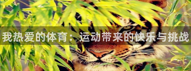 三亿体育网
