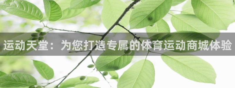 三亿体育网页版
