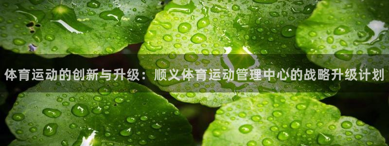 三亿体育网
