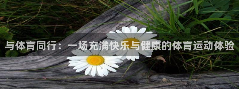 三亿体育网页版
