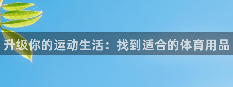 三亿体育网页版