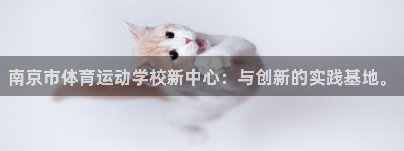 三亿体育网页版