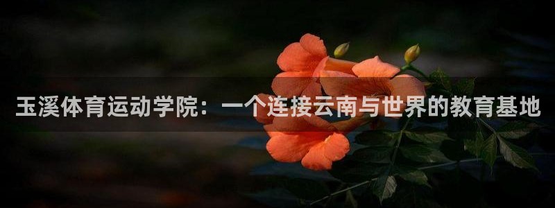 三亿体育登录