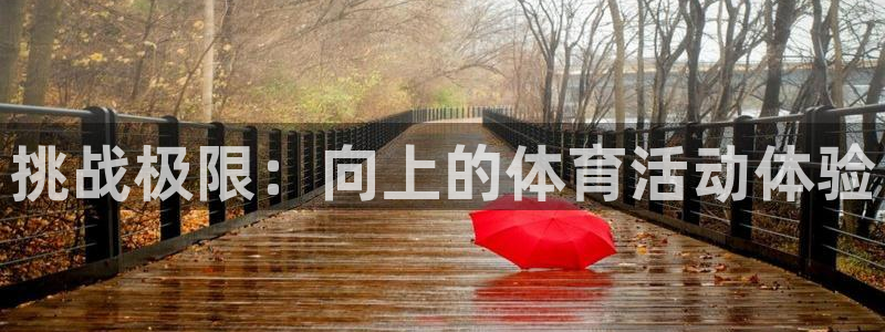 三亿体育