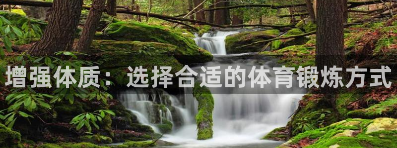 三亿体育网页版