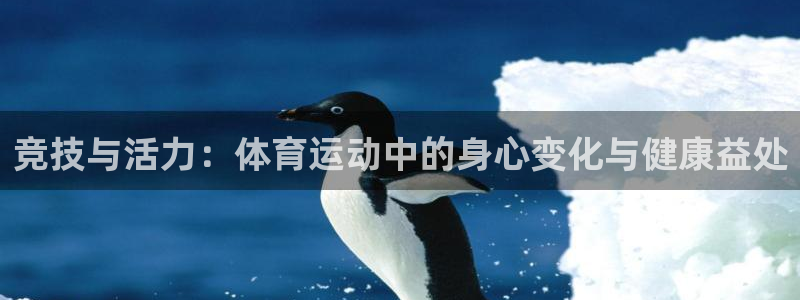 三亿体育登录