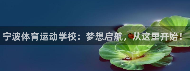三亿体育网
