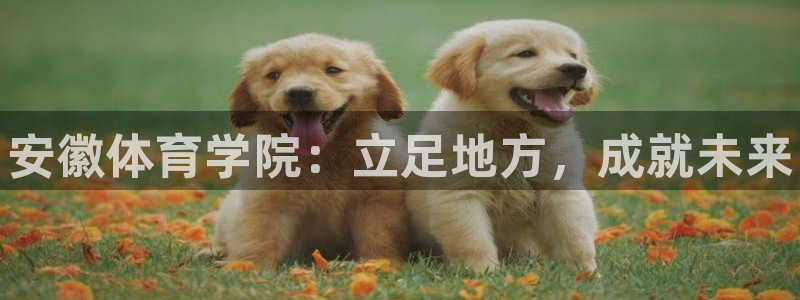三亿体育网页版