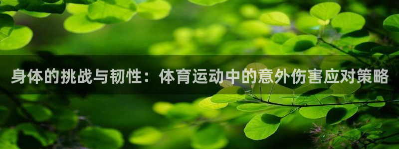 三亿体育登录