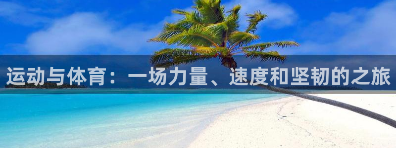 三亿体育