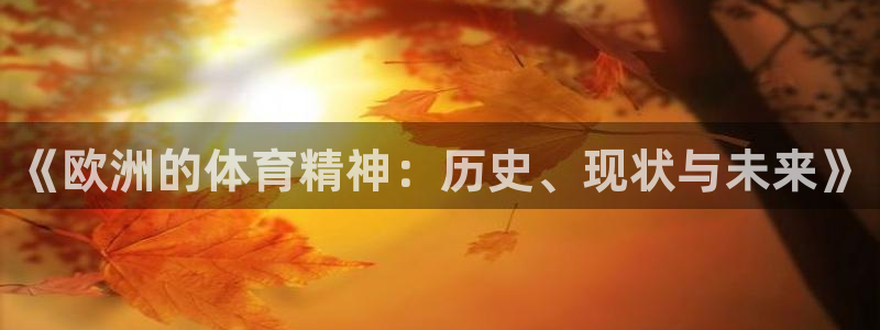 三亿体育网页版