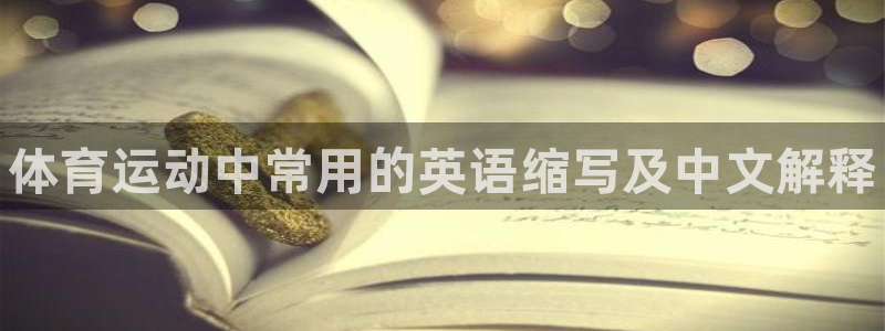三亿体育网页版
