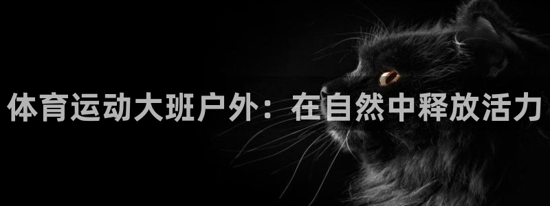 三亿体育网页版